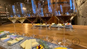 Degustação harmonizada com queijos e vinhos na vinícola Cainelli